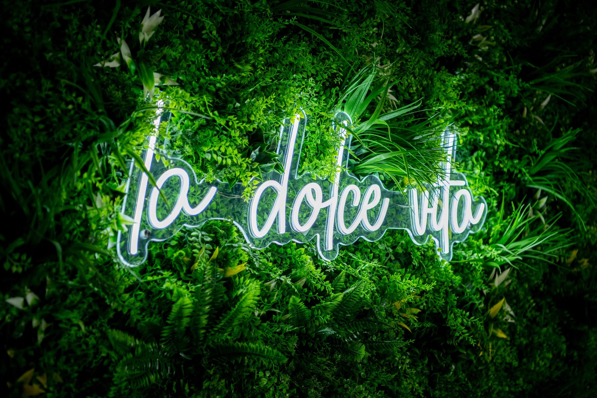 Néon la dolce vita en écriture manuscrite sur le mur végétal